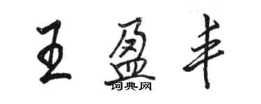 骆恒光王盈丰行书个性签名怎么写