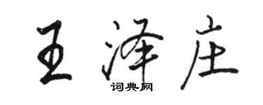 骆恒光王泽庄行书个性签名怎么写