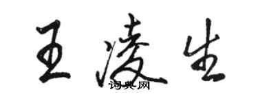 骆恒光王凌生行书个性签名怎么写