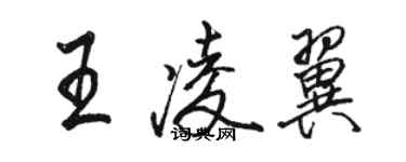 骆恒光王凌翼行书个性签名怎么写