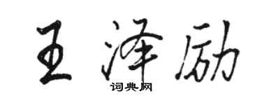骆恒光王泽励行书个性签名怎么写