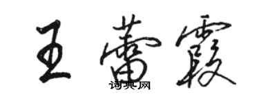 骆恒光王蕾霞行书个性签名怎么写