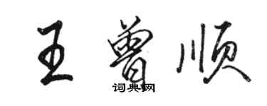 骆恒光王曾顺行书个性签名怎么写