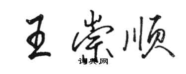 骆恒光王崇顺行书个性签名怎么写