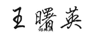 骆恒光王曙英行书个性签名怎么写