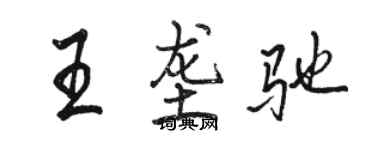 骆恒光王垄驰行书个性签名怎么写