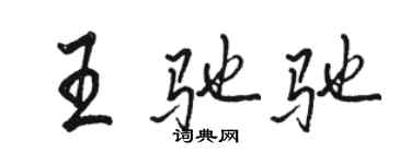 骆恒光王驰驰行书个性签名怎么写