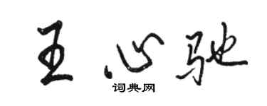 骆恒光王心驰行书个性签名怎么写