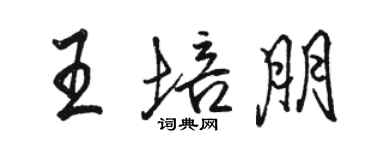 骆恒光王培朋行书个性签名怎么写
