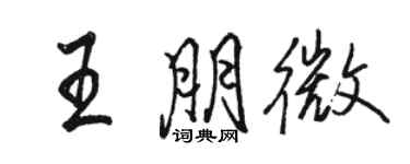 骆恒光王朋微行书个性签名怎么写