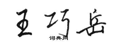 骆恒光王巧岳行书个性签名怎么写