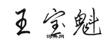 骆恒光王宝魁行书个性签名怎么写