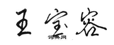 骆恒光王宝容行书个性签名怎么写