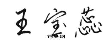 骆恒光王宝蕊行书个性签名怎么写