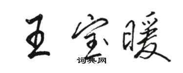 骆恒光王宝暖行书个性签名怎么写