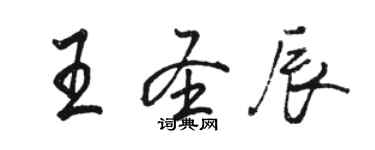 骆恒光王圣辰行书个性签名怎么写