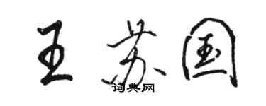 骆恒光王苏国行书个性签名怎么写