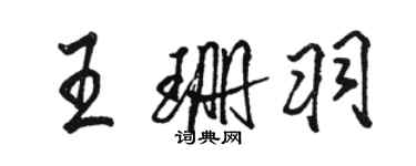 骆恒光王珊羽行书个性签名怎么写