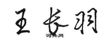 骆恒光王长羽行书个性签名怎么写
