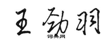骆恒光王劲羽行书个性签名怎么写