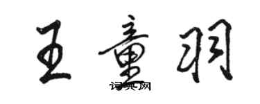 骆恒光王童羽行书个性签名怎么写