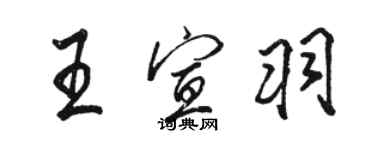 骆恒光王宣羽行书个性签名怎么写