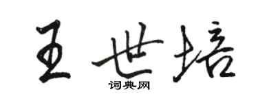 骆恒光王世培行书个性签名怎么写
