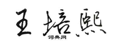 骆恒光王培熙行书个性签名怎么写