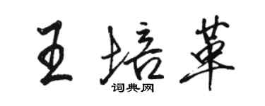 骆恒光王培革行书个性签名怎么写