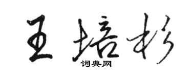 骆恒光王培杉行书个性签名怎么写