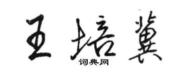 骆恒光王培冀行书个性签名怎么写