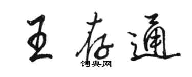 骆恒光王存通行书个性签名怎么写