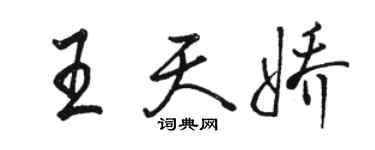 骆恒光王天娇行书个性签名怎么写