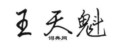 骆恒光王天魁行书个性签名怎么写