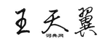 骆恒光王天翼行书个性签名怎么写