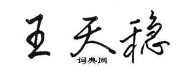 骆恒光王天稳行书个性签名怎么写