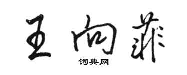 骆恒光王向菲行书个性签名怎么写