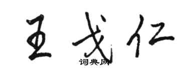 骆恒光王戈仁行书个性签名怎么写