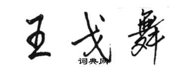 骆恒光王戈舞行书个性签名怎么写