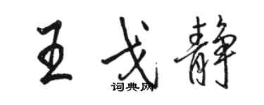 骆恒光王戈静行书个性签名怎么写