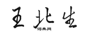 骆恒光王北生行书个性签名怎么写