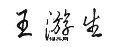 骆恒光王游生行书个性签名怎么写