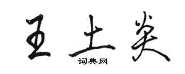 骆恒光王土炎行书个性签名怎么写
