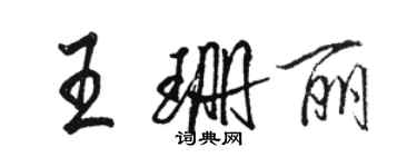 骆恒光王珊丽行书个性签名怎么写