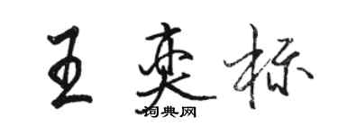 骆恒光王奕标行书个性签名怎么写