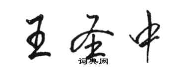 骆恒光王圣中行书个性签名怎么写