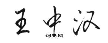 骆恒光王中汉行书个性签名怎么写