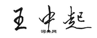 骆恒光王中起行书个性签名怎么写