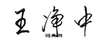 骆恒光王净中行书个性签名怎么写