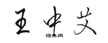 骆恒光王中艾行书个性签名怎么写